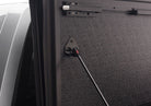 Photo - Close Up